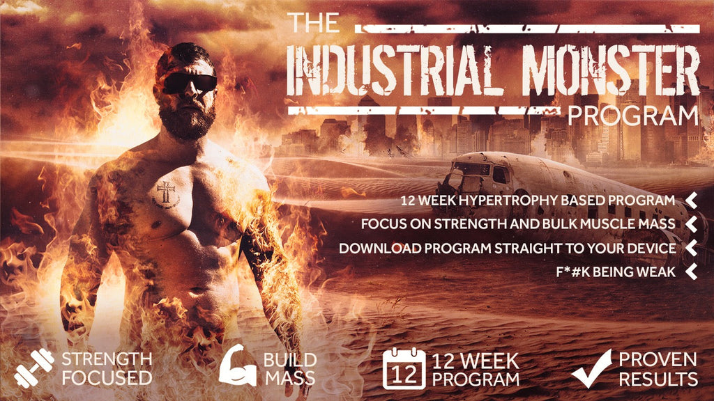 The Industrial Monster Program PDF ONLY